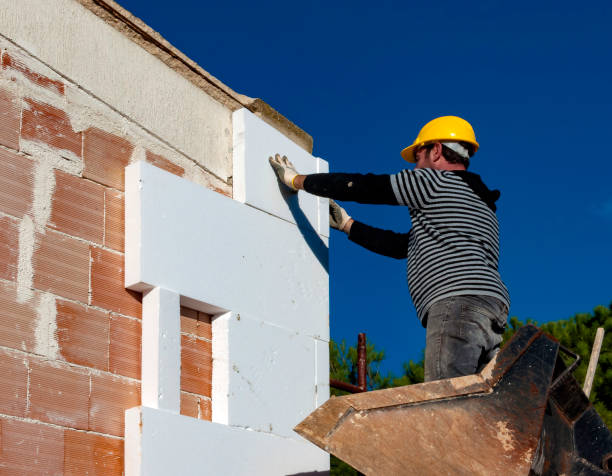 Best Cellulose Insulation in Brazoria, TX