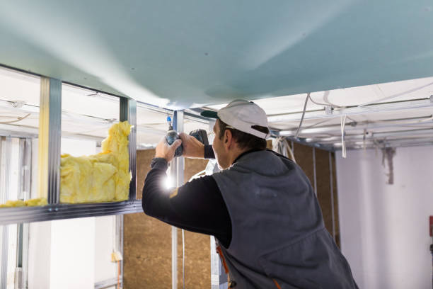 Best Energy Efficiency Insulation in Brazoria, TX