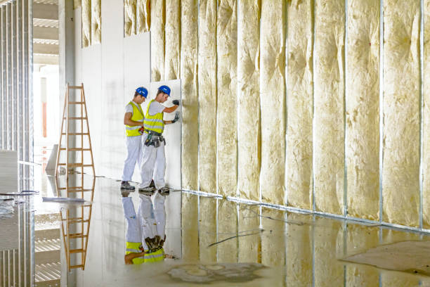 Best Spray Foam Insulation in Brazoria, TX